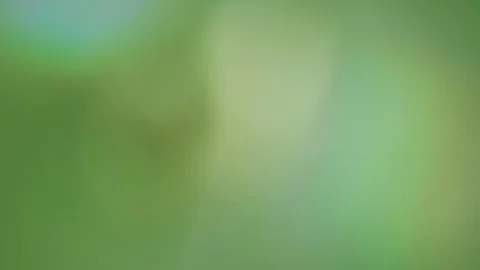 Soft Blurry Green Light Leaks Overlay Stock-Footage 108564577