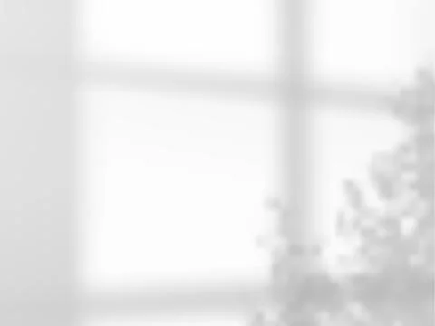 Soft blurry shadows from the window frame. Stock Illustration