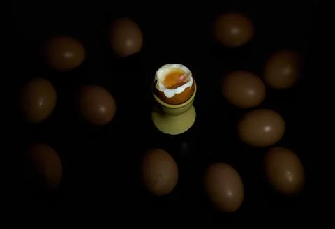 Soft Boiled Egg in Egg Cup Still Life Stock Photos