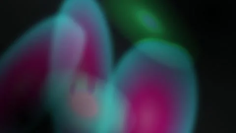 Soft bokeh lens flare shifting seamless loop motion background Stockbeeldmateriaal 344799387