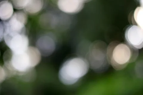 Soft bokeh light background with glowing orbs. Dreamy defocused illuminatio.. Stock Photos
