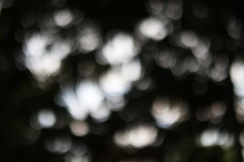 Soft bokeh light circles on dark background for abstract minimalist design .. Stock Photos