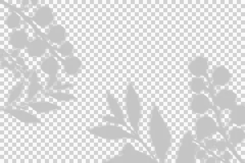 Soft botanical shadow overlay of leaves and berries Stock Illustration