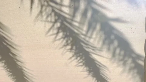Soft Botanical Shadows on Neutral Fabric Background with Natural Sunlight. Stock Footage 336393984
