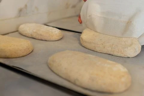 Soft bread dough pieces resting on parchment trays, proofing stage in artisan 스톡 사진