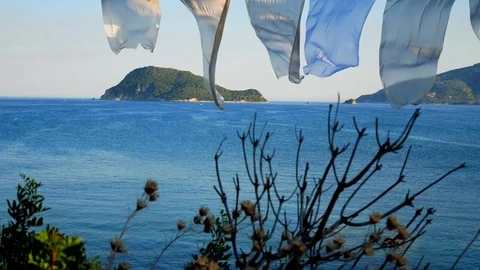 Soft breeze in Cameo Island Stock Footage 77902425