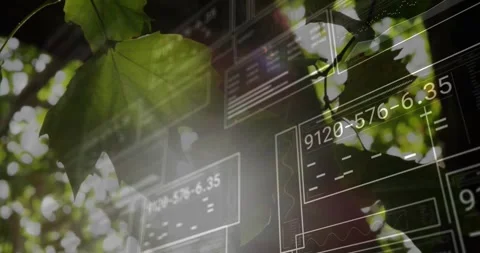 Soft breeze starting leaves swaying, panels sliding, updating codes, showing Stock Footage 329864602