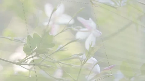 Soft breeze wafting through patterned veil, pale flowers shifting focus and Stock Footage 333593052