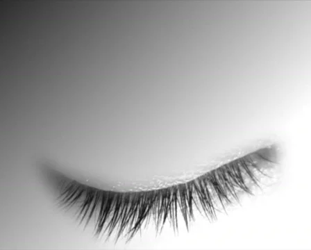 Soft Brown Eye 库存影片 103226