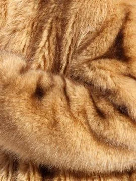 Soft brown fur close-up Stock Photos
