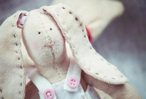 Soft bunny Stock Photos
