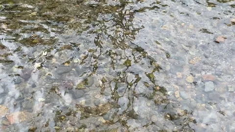Soft calming ripples on the surface of water with river stones background Stock Footage 295492558