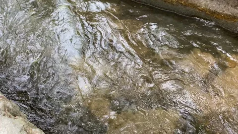 Soft calming ripples on the surface of water with river stones background Stock Footage 295492566