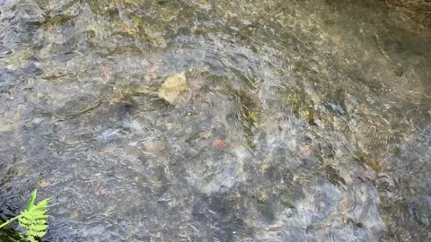 Soft calming ripples on the surface of water with river stones background Stock Footage 295492569