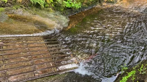 Soft calming ripples on the surface of water with river stones background Stock Footage 295492795