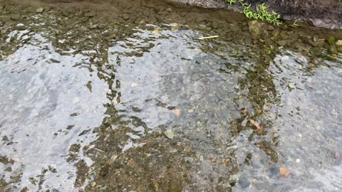 Soft calming ripples on the surface of water with river stones background Stock Footage 295499326