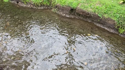 Soft calming ripples on the surface of water with river stones background Stock Footage 295499353