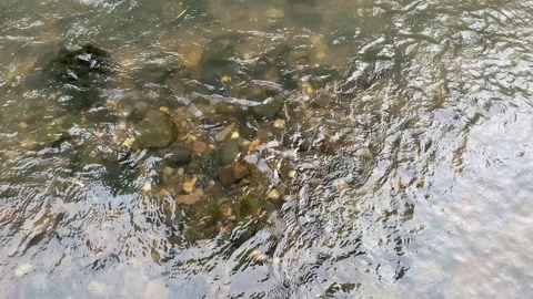 Soft calming ripples on the surface of water with river stones background Video stock 312394354