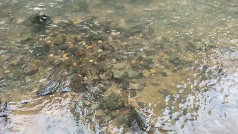 Soft calming ripples on the surface of water with river stones background Stock Footage 312399156