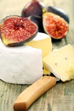 Soft cheese with figs. Stock Photos