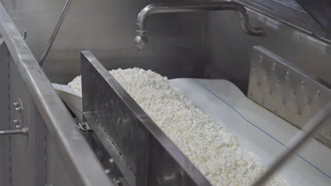 Soft cheese is processed by the automated equipment at the dairy food factory Stock Footage 287489991