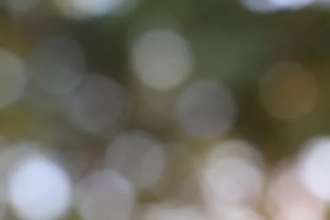 Soft circles of light dancing gently in abstract focus Stock Photos