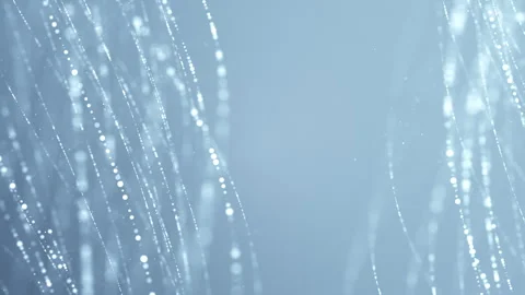Soft Clean Dot Lines Frame Background Stock Footage 338444184