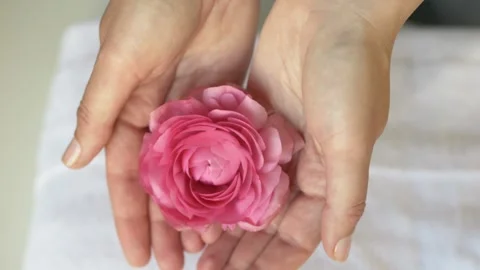 Soft close view of delicate bloom protected by hands. Symbol of mindfulness Stock Footage 330486252