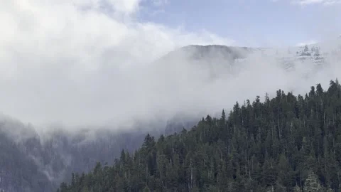 Soft cloud peels off a spruce ridge to reveal quiet fields of spring snow Stock Footage 336221395