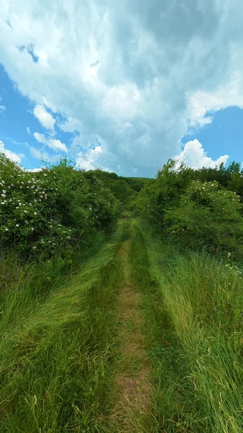 Soft clouds drift above a bright blue sky. Kozji Kamen area, Vertical 스톡 동영상 341880839