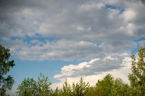 Soft clouds drift above green treetops. Blue sky peeks through scattered whit Stock Photos