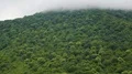 Soft clouds enveloping huge green hills saturating environment with oxygen HD Footage