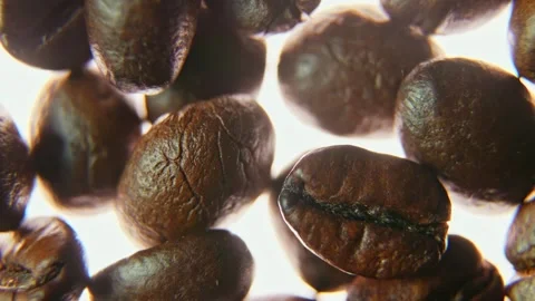 Soft Coffee Bokeh Revealing Roasted Coffee Beans in Sharp Macro Focus. Stock Footage 340028580