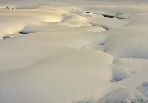 Soft cold snow 写真素材