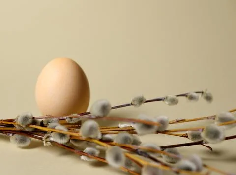 Soft colors blend with an egg placed on a light backdrop next to spring branches Stock Photos