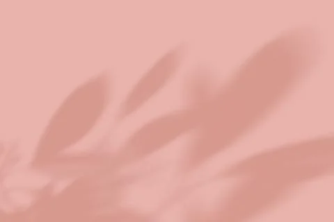 Soft Coral Background with Blurred Leaf Shadows Overlay pink peach Stock Photos