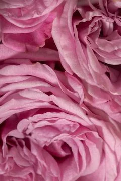 Soft cover Stock Photos