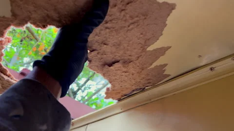 Soft Damaged MDF Removed from Ceiling Due to Moisture in 4K60 Stock-Footage 332682084
