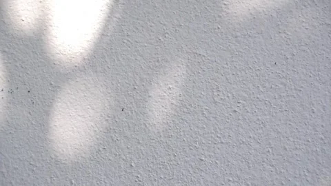 Soft dappled sunlight and beautiful tree leaf shadows moving. Stock Footage 343670584