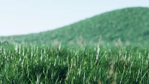 Soft defocused spring background with a lush green grass Stock Illustration