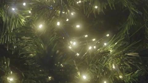 Soft diffused lights on Christmas tree 4K video Stock Footage 229582479