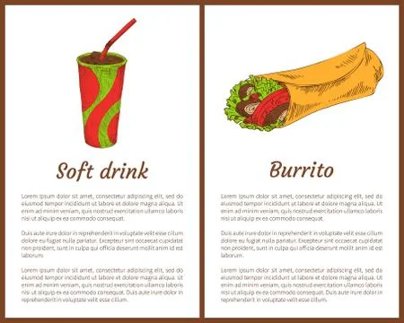 Soft Drink with Burrito Color Vector Illustrations Stock Illustration