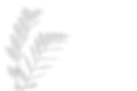 Soft drop shadow from the leaves on a white background Stock Illustration