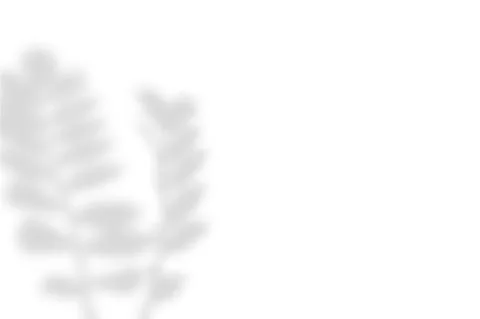 Soft drop shadow from the leaves on a white background Stock Illustration