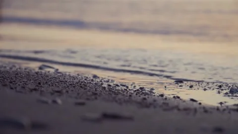 Soft evening ocean waves wash gently onto wet sandy beach. Stock Footage 337406865