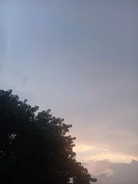 Soft Evening Sky with Silhouette of Trees, Indonesia Photos