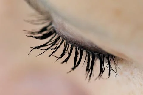 Soft eyelashes curl gently against skin Stock Photos