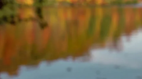 Soft fall lake reflection Video stock 12537274