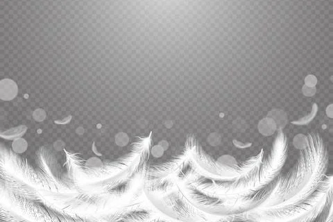 Soft feather background, smooth fluff. Real falling weightless bird plumage for Stock Illustration