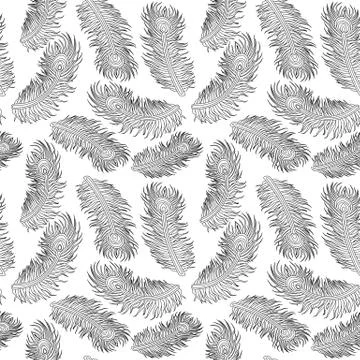 Soft Feather Pattern Black and White Illustrazione stock